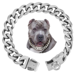 Kuum - 19 mm titaanterasest koerarihm kindla pandlaga koerakett koerak&auml;ru r&otilde;ngas roostevabast terasest lemmiklooma kett kuldne kett (Silver,12inch-30cm) h&otilde;be