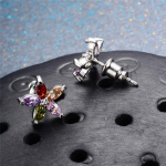 5 v&auml;rvi tsirkoon Viieharulised t&auml;hega lillelised k&otilde;rvar&otilde;ngad h&otilde;bedased ehted