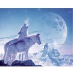 Rhinestones DIY teemanttikandid valge hunt Paar lumes &ouml;&ouml;s 5D teemantmaaling teemant 20X30CM