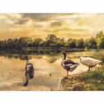 Teemanttikandid Loomade Part Pilt Helmed Teemantmaal Rhinestone Ristipiste komplekti Tapeet 20X30CM