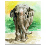 T&auml;is&uuml;mmargune teemantmosaiik elevant 5D DIY teemanttikandid loomade kividest mosaiikmosaiik seinakunst 20X30CM