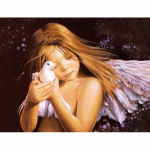 5D teemantmaalide seeria Religions Teemanttikandid Mosaiik Teemant Kodukaunistus 20X30CM