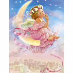 5D teemantmaalide religioonide sari Ingel Baby Christ Teemanttikandid Kodukaunistused 20X30CM