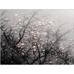 DIY 5D teemantmaali maastik t&auml;is&uuml;mmargune teemanttikandiga teemantmosaiik 20X30CM punane