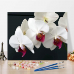 Kodukaunistus DIY Maalimine numbrite j&auml;rgi Kunstinumbrid &Otilde;limaal Digitaalne &otilde;limaal L&otilde;uend 40x50cm no frame