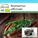 SAFLAX - Kinkekomplekt - Orgaaniline - Rosmariin - 40 seemet - Koos kinkekarbi, kaardi, etiketi ja potisubstraadiga - Rosmarinus officinalis