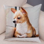 Armas lemmikloomade padjap&uuml;&uuml;r Dekoratiivne armas kutsika chihuahua padjap&uuml;&uuml;r Pehme pl&uuml;&uuml;sist padjap&uuml;&uuml;r autodiivanile koju 45x45cm 45x45cm