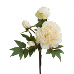 Erksav&auml;rvilised simulatsioonipojengi erksad unikaalsed selged veenilehed valge