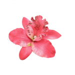 Lillemustriline juuksen&otilde;el armas moekaunistus Kaasaskantav juuksen&otilde;el Peakate Kingitused Fotograafia Dekoratiiv vabaajat&ouml;&ouml;deks