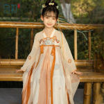 Hanfu t&uuml;druk Hiina stiilis riidest suvekleit Antiik Tang &uuml;likond super haldja kost&uuml;&uuml;m kleit v&auml;ikese t&uuml;druku merineitsi printsessi seelik aluspesu XXXL brown