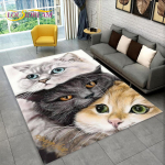 3D-armas kassi multifilmi vaip, vaibavaip kodu elutoa diivanile, k&ouml;&ouml;gi uksemati kaunistamiseks, Kid Play libisemiskindel p&otilde;randamatt 100cm x 150cm