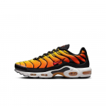 Nike Air Max Plus P&auml;ikeseloojang (2024) EU 35.5 pruun