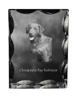 Chesapeake Bay Retriever, Chessie - crystal with a picture of a dog, glass statuette with a picture, unique frame with a picture from Art-Dog brand