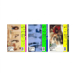 [EELTELLIMUS] ILLIT 4. minialbum &lsquo;MAMIHLAPINATAPAI&rsquo; (Juhuslik) Random gray