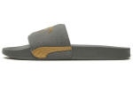 PUMA Leadcat Ftr Suede Classic Sandaalid Hall/Kuldne 372277-06 35.5