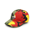 Supreme The North Face Split 6-paneeliline kamuflaaž One-Size gray