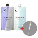 Shiseido Crystallizing Straight EX j&auml;medatele juustele, Lahus 1 + Lahus 2, Kreem, Vaba saba kamm, Sirgendav lahus, Alaline loki eemaldus, 1 tk 400ml white