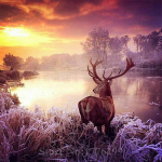 Teemantmaal T&auml;ispuurimine Teemanttikandid K&auml;sit&ouml;&ouml;maalimine Talvehirv Teemantseinakunst 30x30CM