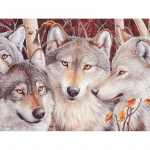 5D Teemantmaal Hundikivid Pilt kividest Teemanttikandid Teemantmosaiik 20X30CM