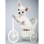 T&auml;is&uuml;mmargune puur 5D DIY Teemantmaalimine Chihuahua koer 3D Tikandhelmed Ristpistes 20X30CM