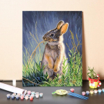 Digitaalne &otilde;limaal isetegemine numbrite j&auml;rgi maalimine numbrite j&auml;rgi &otilde;limaal L&otilde;uend Kodukaunistus 40x50cm no frame