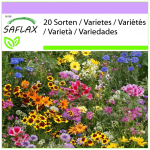 SAFLAX &ndash; Tall Garden Gnome Mix &ndash; 1000 seemet &ndash; 20 Wildflower Mix