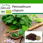 SAFLAX &ndash; Orgaaniline &ndash; Harilik petersell &ndash; 600 seemet &ndash; Potisubstraadiga paremaks kasvatamiseks &ndash; Petroselinum crispum