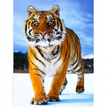 5D DIY Teemanttikandid Tiger Snow Full Round Drill K&auml;sit&ouml;&ouml; m&uuml;&uuml;k Teemantmaaling Loom K&auml;sitsi valmistatud kingitus Seinakunst Full Round 20x30CM