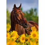 5D DIY Teemantmaali Loomad Hoburistpiste komplekt T&auml;ispuurimine Ruuttikandid Mosaiikkunst Pilt kivikividest Kodukaunistus Full Round 20x30CM