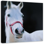 L&otilde;uenditr&uuml;kk White Horse Animals 30x30 hall v&auml;rv