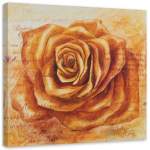 L&otilde;uenditr&uuml;kk Rose Flower Orange 30x30 oranž