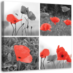 L&otilde;uendiprint Komplekt Red Poppies Meadow 50x50