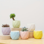 6tk, Macaron Succulent Flower Pot Keraamiline V&auml;ike lillepott lauaarvuti Cactus Mini Thumb Flower Pot Colorful Flower Maker 6pcs Pots (without Plants)