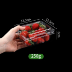 &Uuml;hekordne kaanega plastmassist puuviljakarp 100 pieces