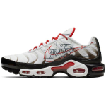 Nike Air Max Plus 'Script Swoosh' Meeste CK9392-100 EU 40 gray