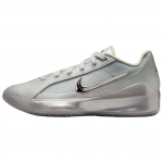 Nike LeBron NXXT Gen Toetavad Korvpallijalatsid Unisex H&otilde;bedased IQ8493-002 42