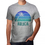 Meeste vintage T-s&auml;rk Graafiline T-s&auml;rk Arica Sunset Grey Marl XS kanarbiku halli v&auml;rvi