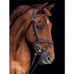 Teemantmaaling Hobune Kodukaunistus Mosaiik Loomade tikandid K&auml;sitsi valmistatud kingitus 20X30CM