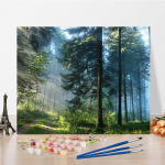 DIY v&auml;rvid numbrite j&auml;rgi &otilde;limaali komplekt L&otilde;uend DIY &otilde;limaal numbrite j&auml;rgi Seinakunsti kaunistused kodukinki kunstiks ja hobideks 40x50cm no frame