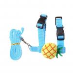 P&auml;ev Kass K&uuml;&uuml;lik Rihm K&uuml;&uuml;liku Tarvikud Reguleerimine V&auml;ltida P&otilde;genemist K&uuml;&uuml;liku Riietus Lemmiklooma V&auml;ljas Treening Rihm V&ouml;&ouml; punane