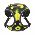 Nailonist peegeldavad koerarakmed, vest, tr&uuml;kitud prantsuse buldogi rakmed, kutsikas, v&auml;ikesed keskmised koerad, kassid, chihuahuaga jalutamiseks XS