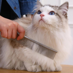 Kroomitud lahtiharutav koerakamm kuldsele retriiverile ja &scaron;nautserile Length 19cm, Width 3.5cm, Tooth Length 3cm