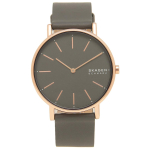 Kell SKAGEN SKW2794 Charcoal [Skagen] naiste [kaup] beige