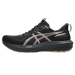 Asics Gt-1000 14 Gtx Paelad &Uuml;mar nina Polsterdus Veekindel Hingav Tagasil&ouml;&ouml;k Madal L&otilde;ige Jooksukingad Naiste toss 1012B857-002 38