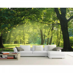 Roheline Puu 3D Tapeet Metsa Maastik Seinakleebis Elutuba Magamistuba Foto Seinakleebis Kodu Kaunistus 200 cm(W) x 140 cm(H)