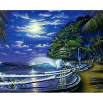 5D DIY Teemanttikandid Kuuvalgus Beach Teemantmaal Ristpistes Rhinestone Mosaiic Dekoratsioon 20X30CM