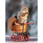 5D DIY Teemantmaaling Armas orav Teemanttikandid Lumi stseen Ristpiste t&auml;is&uuml;mmargune puur Kodukaunistamine K&auml;sitsi kingitus Full Round 15x20CM