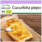 SAFLAX &ndash; Mahe &ndash; Suvik&otilde;rvits &ndash; Spagetid &ndash; 5 seemet &ndash; Cucurbita pepo