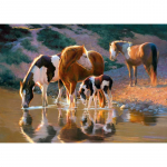 5D DIY Teemantmaaling Hobune Joogivesi Teemanttikandid T&auml;ismosaiigikomplektid Ristpistes Kodukaunistus K&auml;sitsi valmistatud kingitused Round 20x30cm