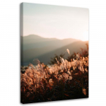 L&otilde;uenditr&uuml;kk Meadow Mountain Nature 40x60 beež